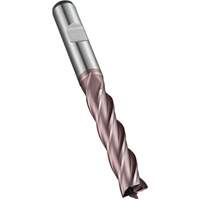 Fraise &agrave; embout droit, 5 mm dia., 68 mm lo, 4 cannelures, 6 mm tige, Acier rapide au cobalt Seaboard Timber Mart