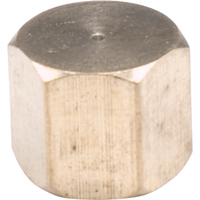 Pipe Caps, Brass Seaboard Timber Mart