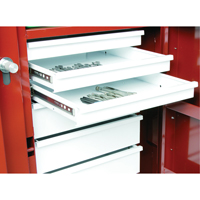 &eacute;tabli roulant, 49-7/8" la x 40-5/8" h x 26-7/8" p, Capacit&eacute; de 24,6 pi³ Seaboard Timber Mart