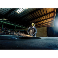 Angle Grinder, 7", 120 V, 8450 RPM Seaboard Timber Mart