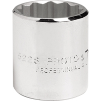 12 Point Socket Seaboard Timber Mart