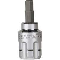 Jeu de douilles &agrave; embouts SAE/m&eacute;triques Pass-Thru, Hexagonale/Phillips/Fente/Torx, Prise 1/4"/3/8", 39 mrcx Seaboard Timber Mart