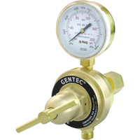 D&eacute;tendeur de poste &agrave; usage moyen &agrave; intensif, Propane, Entr&eacute;e 7/8"-14 gauche(F) Seaboard Timber Mart