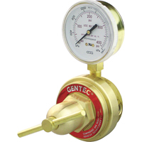 D&eacute;tendeur de conduit &agrave; usage moyen &agrave; intensif, Propane, Entr&eacute;e Orifice 1/4" NPT(F) Seaboard Timber Mart