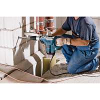 SDS-Max&reg; Combination Hammer Seaboard Timber Mart