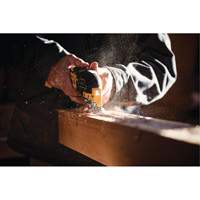 Max XR&reg; Brushless 3-Speed Oscillating Multi-Tool (Tool Only), 20 V, Lithium-Ion Seaboard Timber Mart