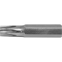 Embout de rechange pour tournevis multi embouts Stubby, Torx, 15, Prise 1/4" Seaboard Timber Mart