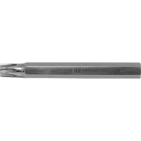 Embout de rechange pour tournevis multi embouts Multique, Torx, 15, Prise 3/16" Seaboard Timber Mart