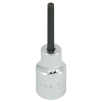 Embout de rechange, 5 mm x 1-1/5" lo, Prise 3/8" Seaboard Timber Mart