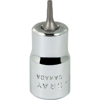 Bit Socket, Torx&reg;, T8 x 2-1/8" L, 3/8" Drive Seaboard Timber Mart