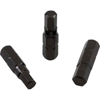 Insert Bit, Hex, 8 mm, 1/4" Drive Seaboard Timber Mart