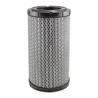 RS5761 &eacute;l&eacute;ment filtrant pour l'air d'habitacle avec joint radial Seaboard Timber Mart