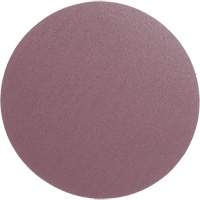 PSA Cloth Disc 348D, 12" Dia., 60 Grit, Aluminum Oxide, X-Weight Seaboard Timber Mart