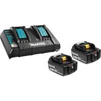 Ensemble de batterie au lithium-ion & chargeur &agrave; double port, 18 V, Lithium-ion Seaboard Timber Mart