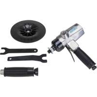 Vertical Sander, 7" Dia., 1/4" NPTF Inlet, 4500 RPM Seaboard Timber Mart