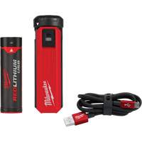 Trousse d'alimentation et de chargeur USB Redlithium, 4 V, Lithium-ion Seaboard Timber Mart
