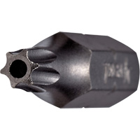 Tamper Insert Bit Seaboard Timber Mart