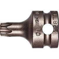 Embout &agrave; ins&eacute;rer, Torx inviolable, 25 x 1" lo, Prise 3/8" Seaboard Timber Mart