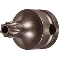 Embout &agrave; ins&eacute;rer, Torx inviolable, 25 x 1" lo, Prise 3/8" Seaboard Timber Mart