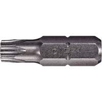 Tamper Insert Bit Seaboard Timber Mart