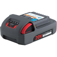 Batterie de s&eacute;rie IQV20, Lithium-ion, 20 V, 2,5 Ah Seaboard Timber Mart