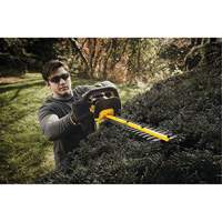 Taille-haie sans fil Max, 22", 20 V, &agrave; pile Seaboard Timber Mart