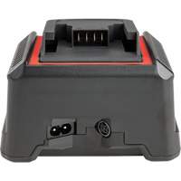 2.5 Ah & 5.0 Ah Battery Charger, 120 V, Lithium-Ion Seaboard Timber Mart