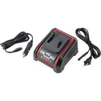 2.5 Ah & 5.0 Ah Battery Charger, 120 V, Lithium-Ion Seaboard Timber Mart