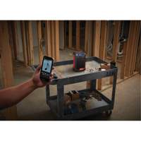 Radio et chargeur M12 (outil seulement), Lithium-ion, 12 V Seaboard Timber Mart