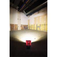 Projecteur d'illumination montable M12 ROVER, DEL, 250 W, 1000 lumens Seaboard Timber Mart