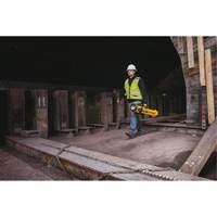 20V Max Cordless Tripod Light, LED, 3000 Lumens, Plastic Housing Seaboard Timber Mart