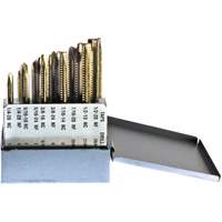 Jeu de tarauds Drillco, 10 morcea Seaboard Timber Mart