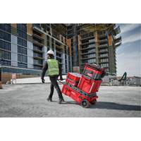 Coffre &agrave; outils roulant Packout, 15-4/5" x 34" x 28", Rouge Seaboard Timber Mart