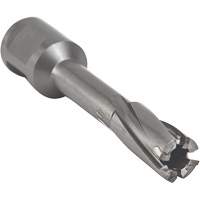 Core Cut Annular Cutter with Weldon Shank, 12 mm Diameter, Carbide, 55 mm Depth of Cut, 3/4" Shank Seaboard Timber Mart
