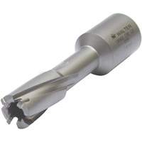 Core Cut Annular Cutter with Weldon Shank, 12 mm Diameter, Carbide, 30 mm Depth of Cut, 3/4" Shank Seaboard Timber Mart