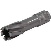 Universal Shank Annular Cutter, 1/2" Diameter, Carbide, 1" Depth of Cut, 3/4" Shank Seaboard Timber Mart