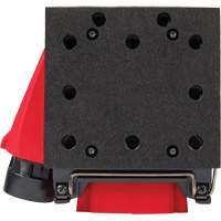 Ponceuse orbitale M18 Seaboard Timber Mart