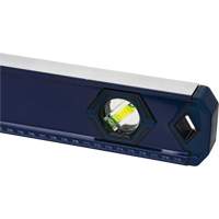 Niveau haute pr&eacute;cision, Boîte, 4' lo, Aluminium, 3, Non magn&eacute;tique Seaboard Timber Mart