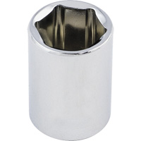 Regular Chrome Socket, 1/2", 3/8" Drive, 6 Points Seaboard Timber Mart