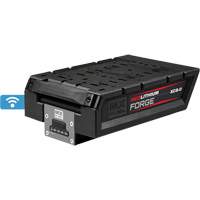 Bloc-pile HD8.0 MX Fuel RedLithium Forge Seaboard Timber Mart