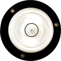 Niveau Bull's-Eye Seaboard Timber Mart