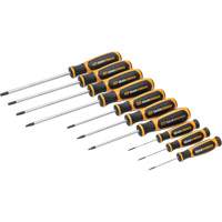 Jeu de tournevis bimat&eacute;riau Torx dans un plateau de rangement en mousse, 10 mcx Seaboard Timber Mart