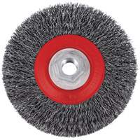 Brosse m&eacute;tallique &agrave; fils torsad&eacute;s &agrave; haut rendement 5C14T, 5" dia., Fils 0,014", Arbre 5/8"-11NC Seaboard Timber Mart