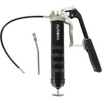 Dual Grease Gun Pistol with Lever Handle Seaboard Timber Mart