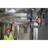 Self-Leveling Cross-Line Laser with Plumb Points Seaboard Timber Mart