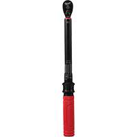 Torque Wrench, Click, 3/8" Square Drive, 20 - 100 in-lbs/27.1 - 135.6 N.m Seaboard Timber Mart