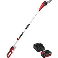 Scie &agrave; chaîne &agrave; perche sans fil avec batterie 4 Ah et ensemble de d&eacute;part de chargeur Seaboard Timber Mart