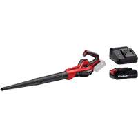 Souffleuse universelle 110 pi3/min sans fil avec batterie 2,5 Ah et ensemble de d&eacute;part de chargeur, 18 V, Vitesse d'air 155,34 mi/h, &agrave; pile Seaboard Timber Mart