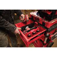 Diviseur pour boîtes &agrave; outils &agrave; tiroirs Packout Seaboard Timber Mart