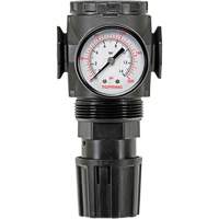 D&eacute;tendeur &agrave; diaphragme en zinc MODULAIR 300, 3/8" NPT, PSI max. de 300 psi, Canalisation/Modulaire Seaboard Timber Mart